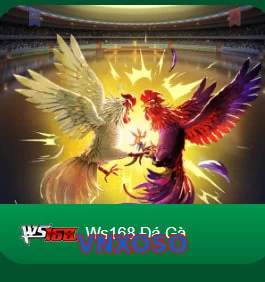 VNXOSO